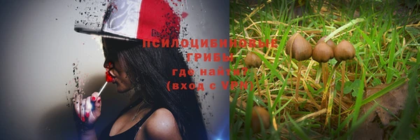 гидропоника Лиски