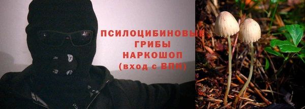 гашик Лихославль