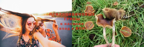 гашик Лихославль