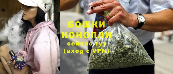 гашик Липки