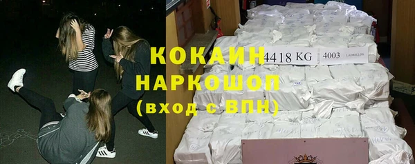 гашик Липки